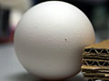 写真:穴開け済の卵